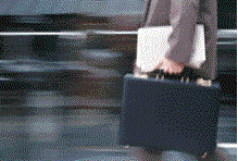 Briefcase.gif (14176 bytes)