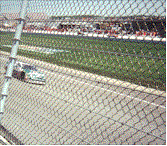 Get out from behind fence2.gif (13394 bytes)