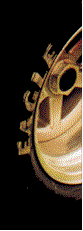 Tire and Black2.gif (5555 bytes)