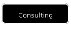 Consulting