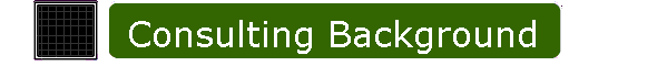 Consulting Background